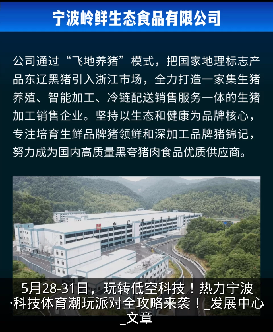 5月28-31日，玩转低空科技！热力宁波·科技体育潮玩派对全攻略来袭！_发展中心_文章